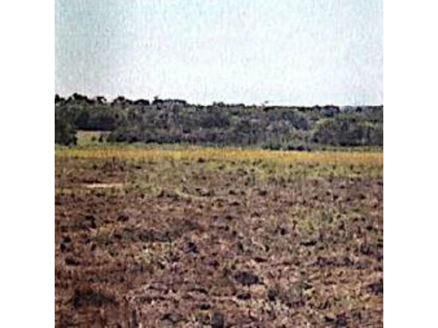 Imagem 3 do Leilão de Área Rural - Zona Rural - Coxim/MS