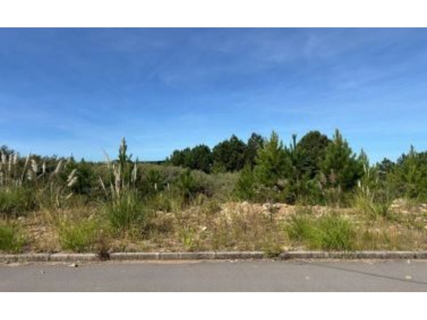 Imagem 5 do Leilão de Terreno - Centro Industrial Caxias - Caxias do Sul/RS