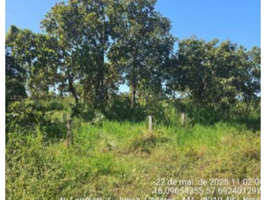 Imagem 7 do Leilão de Área Rural - Junco - Cáceres/MT