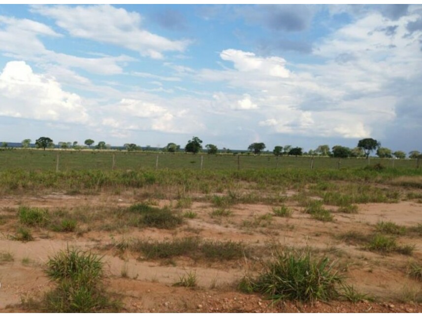 Imagem 6 do Leilão de Área Rural - Zona Rural - Alto Araguaia/MT