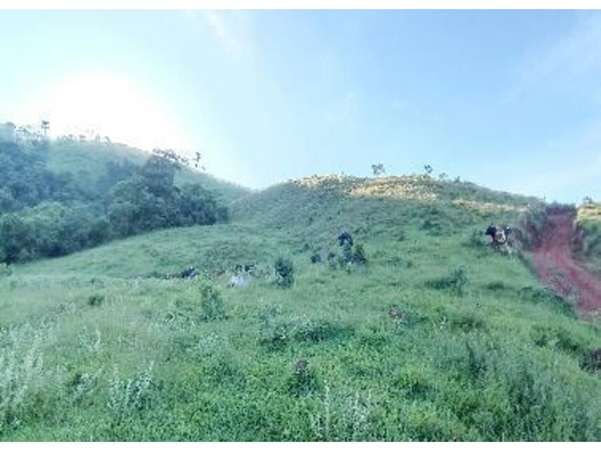 Imagem 4 do Leilão de Área Rural - Zona Rural - Baependi/MG