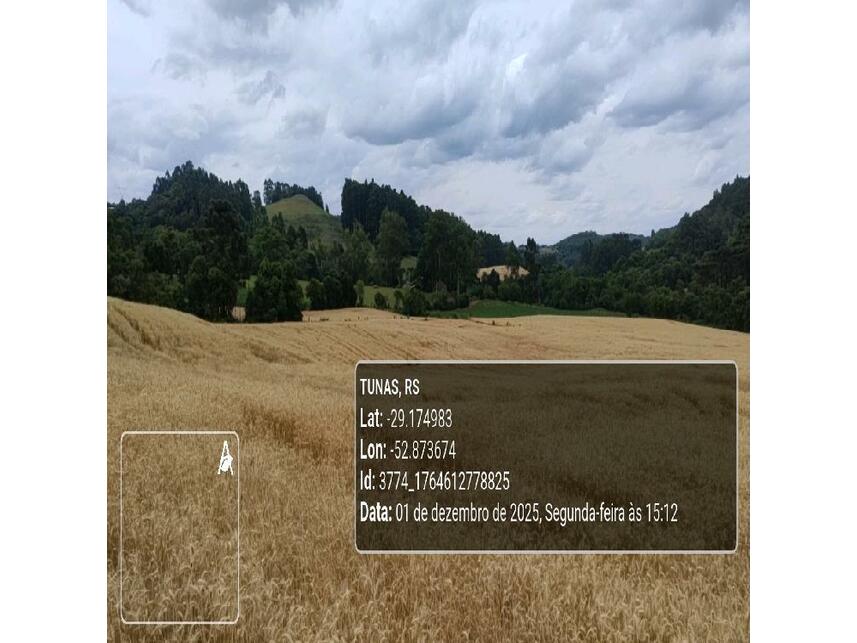 Imagem 4 do Leilão de Área Rural - Zona Rural - Tunas/RS