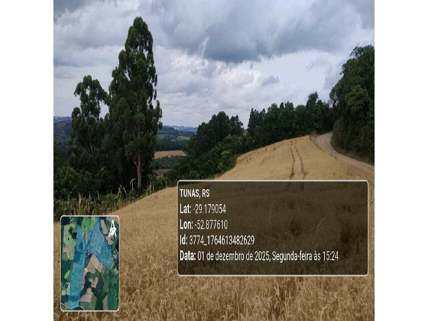 Imagem 17 do Leilão de Área Rural - Zona Rural - Tunas/RS