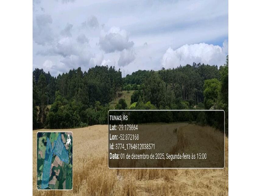 Imagem 2 do Leilão de Área Rural - Zona Rural - Tunas/RS