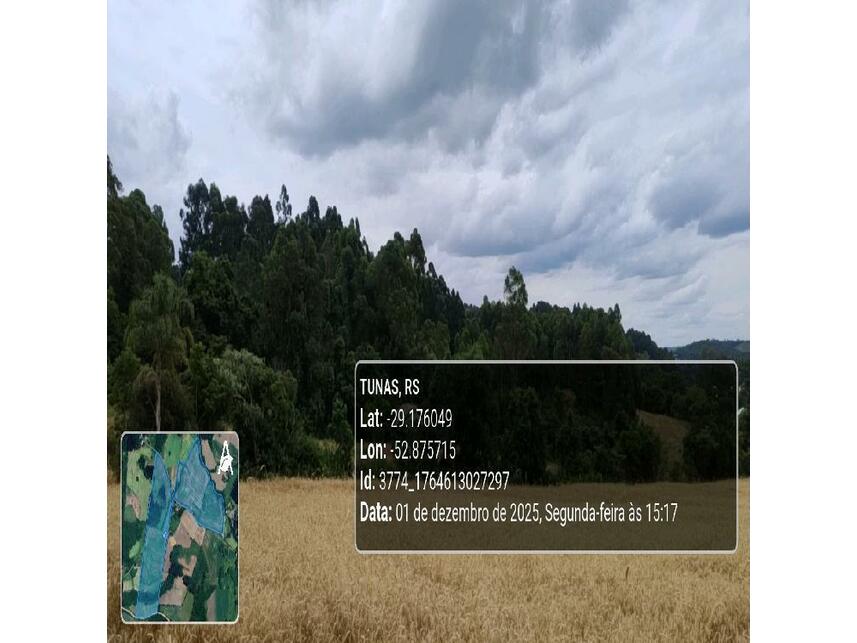 Imagem 26 do Leilão de Área Rural - Zona Rural - Tunas/RS