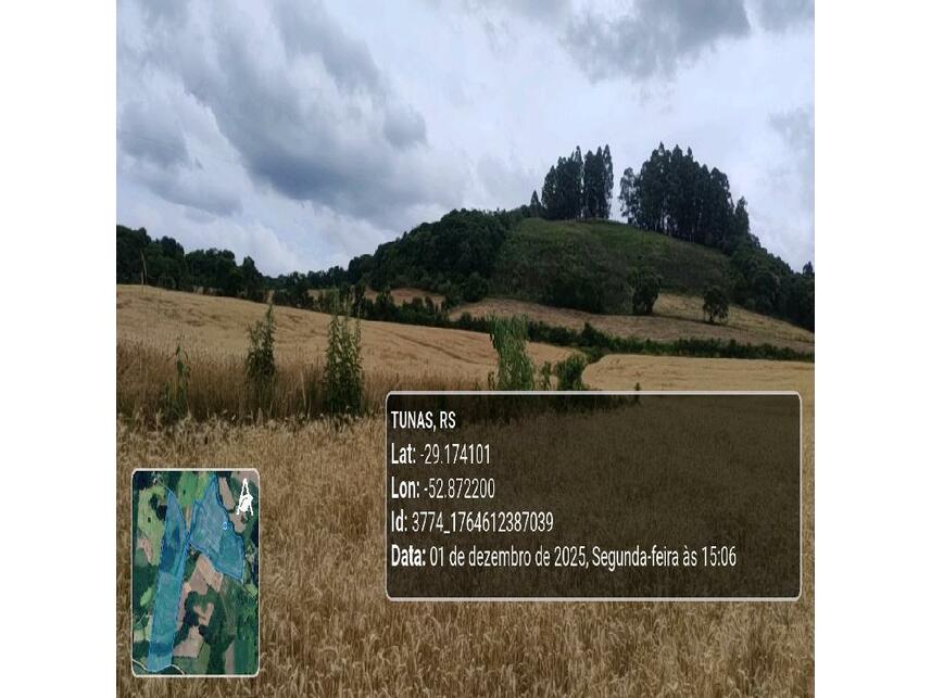 Imagem 6 do Leilão de Área Rural - Zona Rural - Tunas/RS