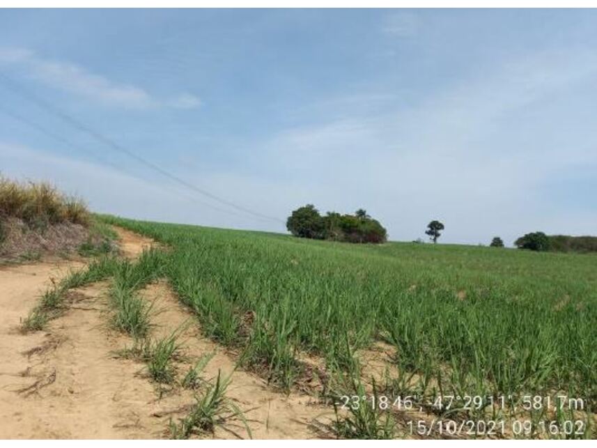Imagem 5 do Leilão de Área Rural - Zona Rural - Porto Feliz/SP