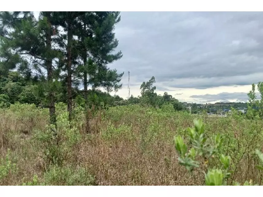 Área Rural à venda em leilão - leilão extrajudicial - Balsa Nova PR - lance mínimo R$ 595.800