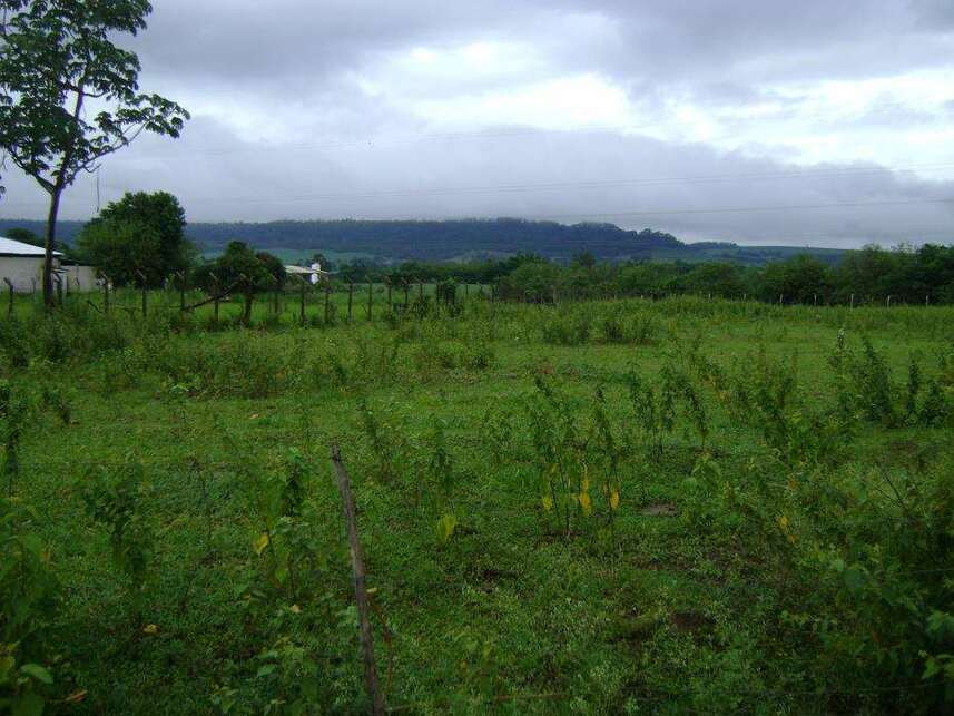 Imagem 1 do Leilão de Terreno - Jardim Petrópolis - Pirassununga/SP