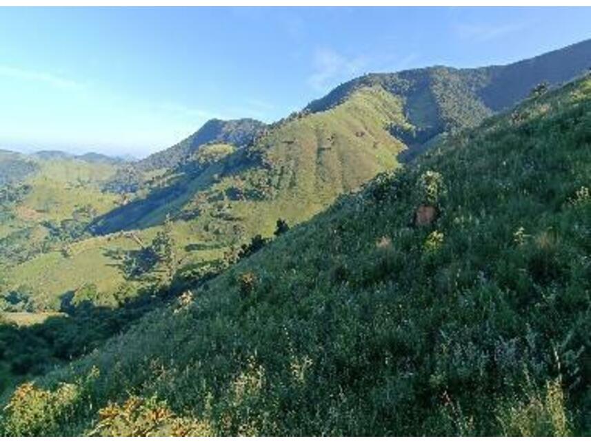 Imagem 8 do Leilão de Área Rural - Zona Rural - Baependi/MG