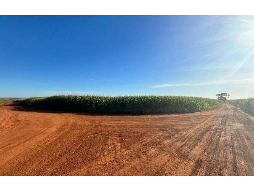 Imagem 7 do Leilão de Área Rural - Zona Rural - Rio Verde/GO