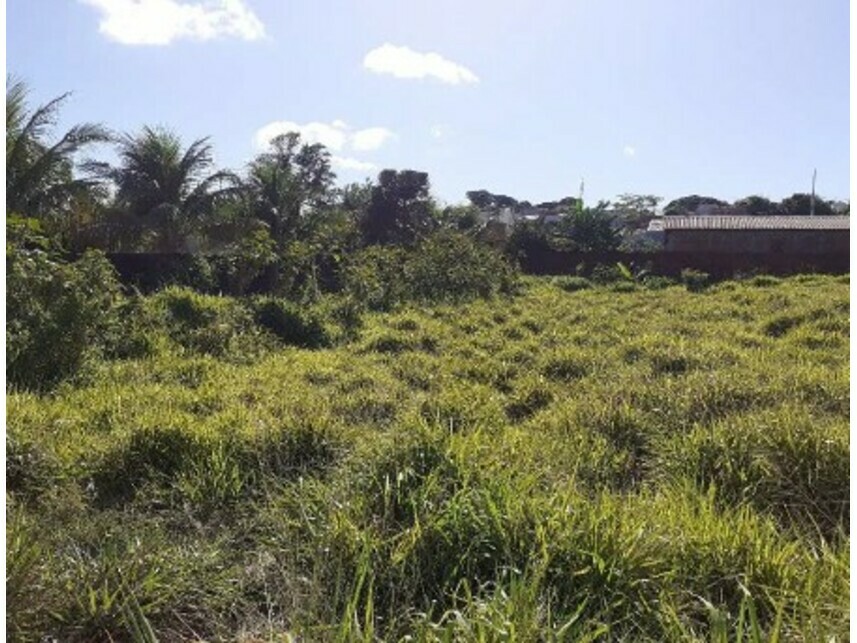 Imagem 2 do Leilão de Terreno - Parque Estância - Umuarama/PR