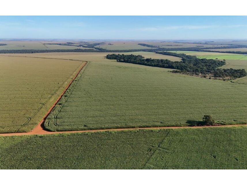 Imagem 4 do Leilão de Área Rural - Zona Rural - Rio Verde/GO