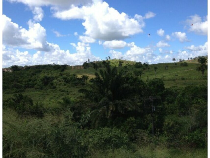 Imagem 3 do Leilão de Gleba de Terras - Madeira - Candeias/BA