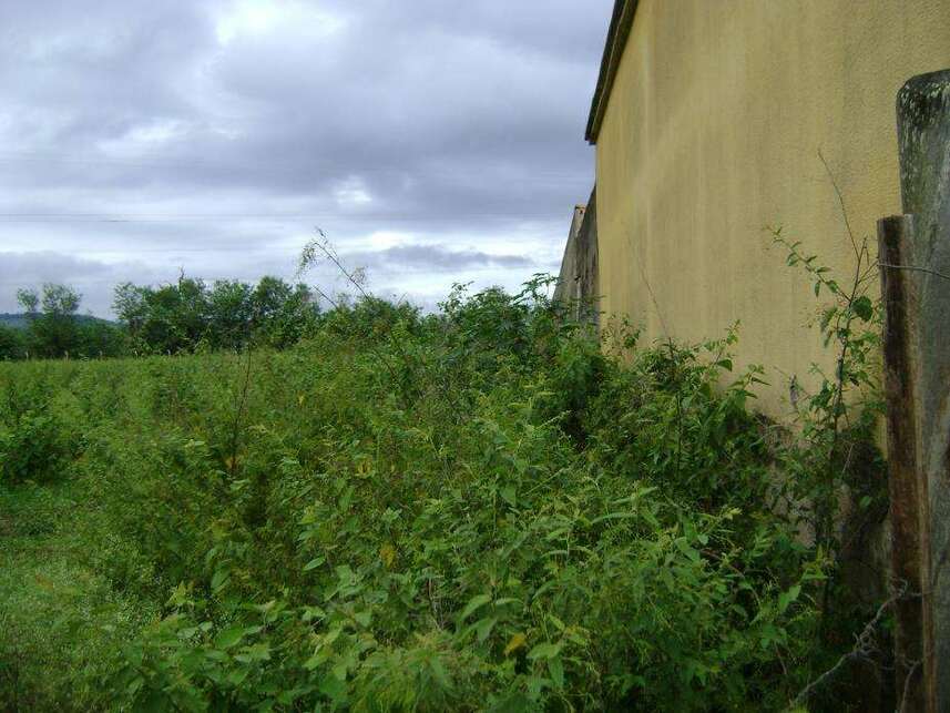 Imagem 2 do Leilão de Terreno - Jardim Petrópolis - Pirassununga/SP