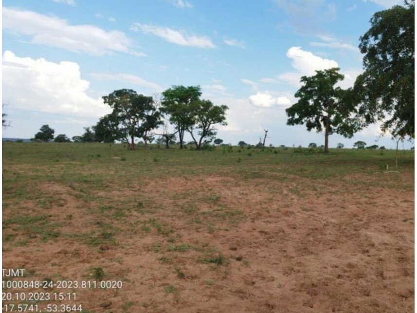 Imagem 2 do Leilão de Área Rural - Zona Rural - Alto Araguaia/MT