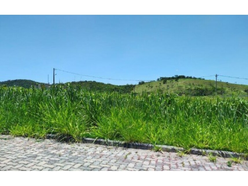 Imagem 7 do Leilão de Terrenos - Pachecos - Itaboraí/RJ