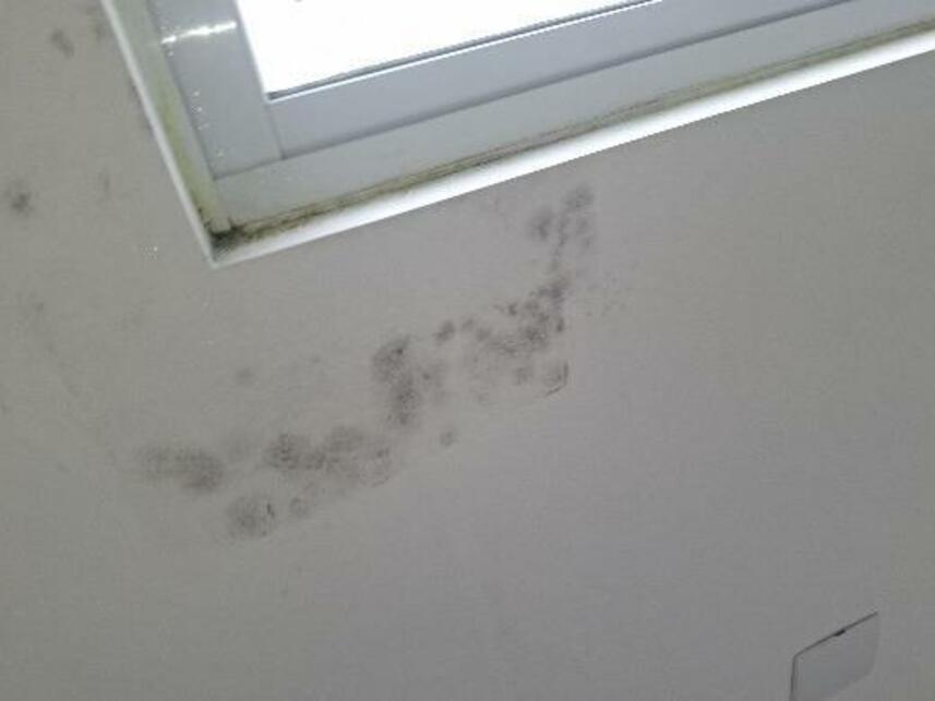 Imagem 16 do Leilão de Residencial / Comercial - Rio Caveiras - Biguaçu/SC