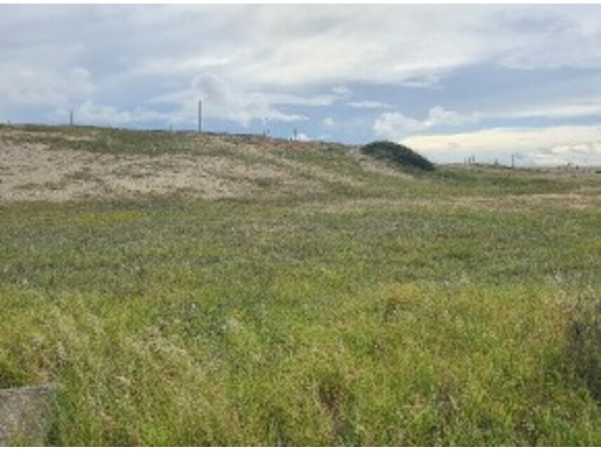 Imagem  do Leilão de Terreno - Tapera - Aquiraz/CE