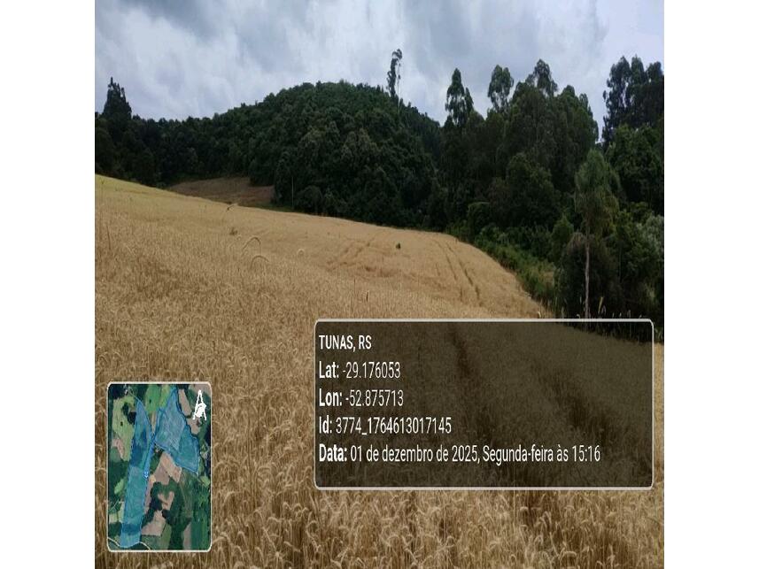 Imagem 15 do Leilão de Área Rural - Zona Rural - Tunas/RS