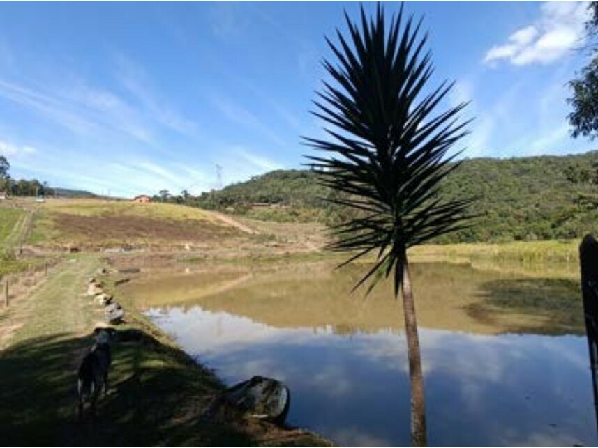 Imagem 4 do Leilão de Sítio - Pirapora - Piedade/SP