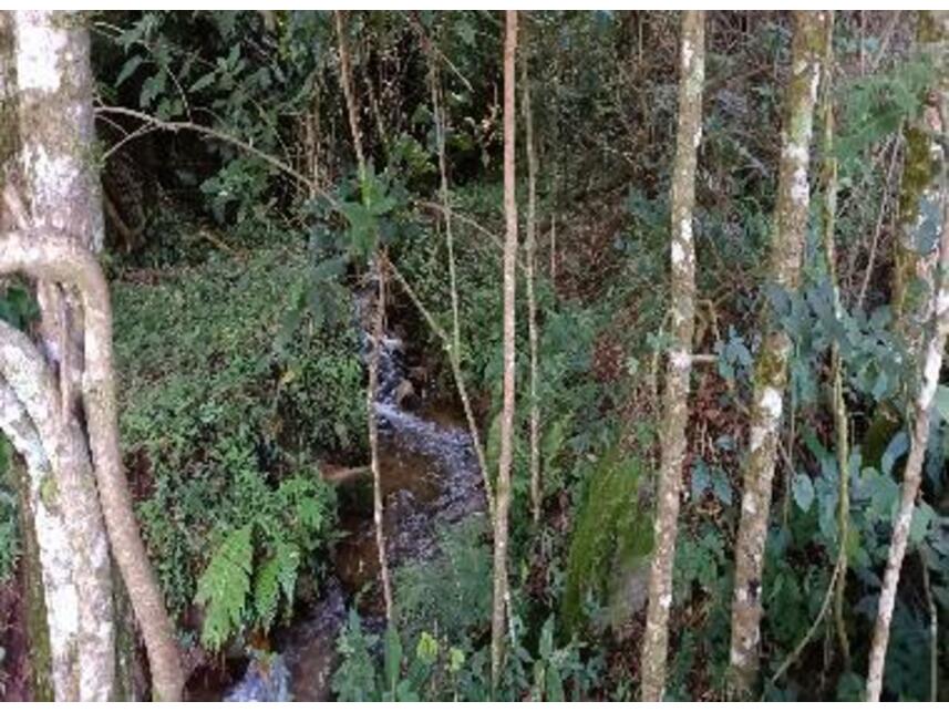 Imagem 9 do Leilão de Área Rural - Zona Rural - Baependi/MG