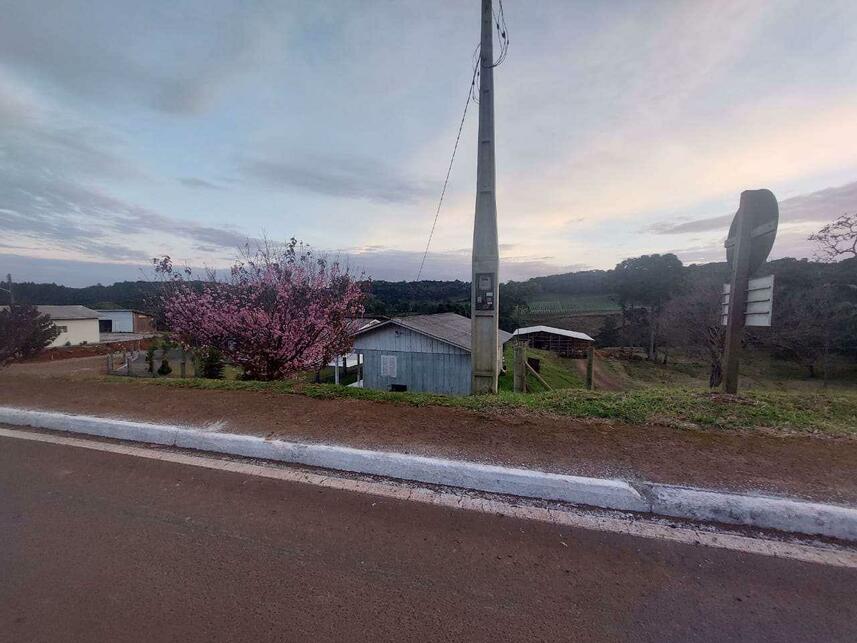 Imagem 5 do Leilão de Terreno - Centro - Frei Rogério/SC