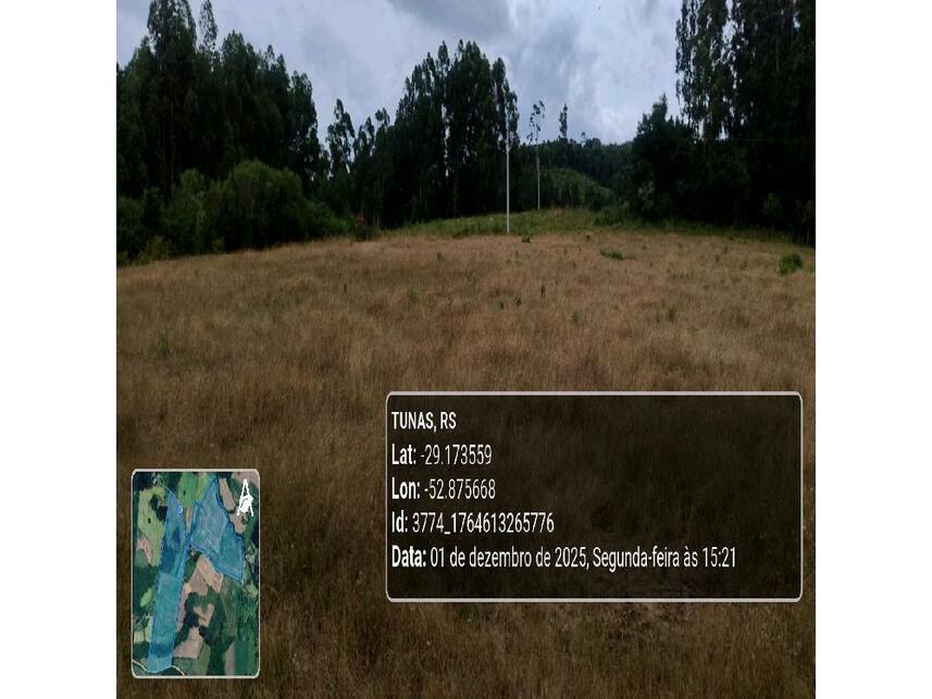 Imagem 9 do Leilão de Área Rural - Zona Rural - Tunas/RS