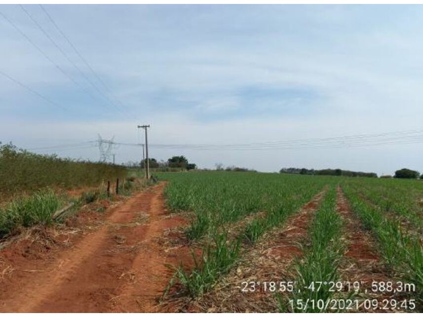 Imagem 16 do Leilão de Área Rural - Zona Rural - Porto Feliz/SP