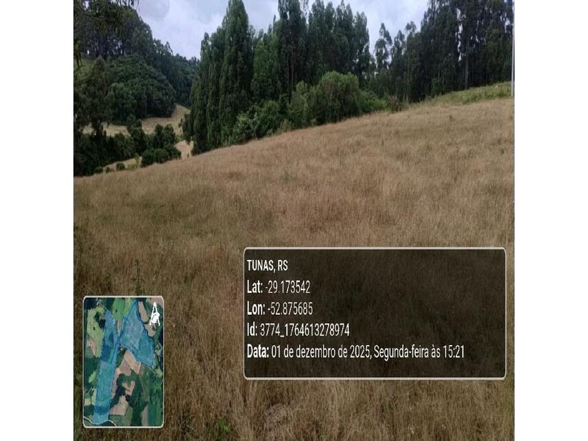 Imagem 23 do Leilão de Área Rural - Zona Rural - Tunas/RS