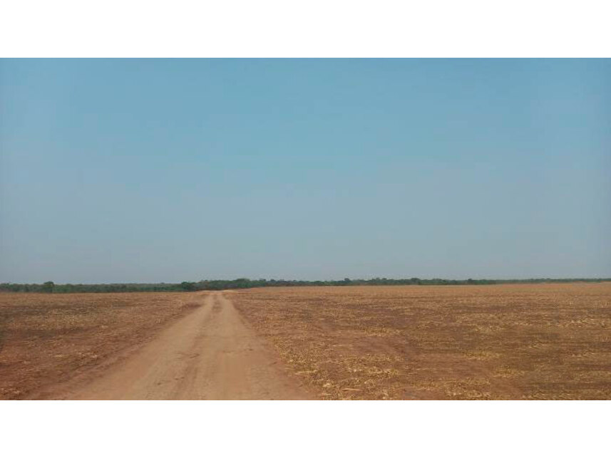 Imagem 11 do Leilão de Área Rural - Data Chupé Zona Rural - Sambaíba/MA