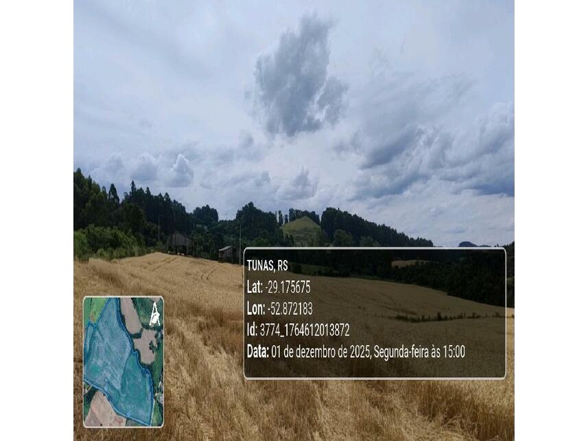 Imagem 11 do Leilão de Área Rural - Zona Rural - Tunas/RS