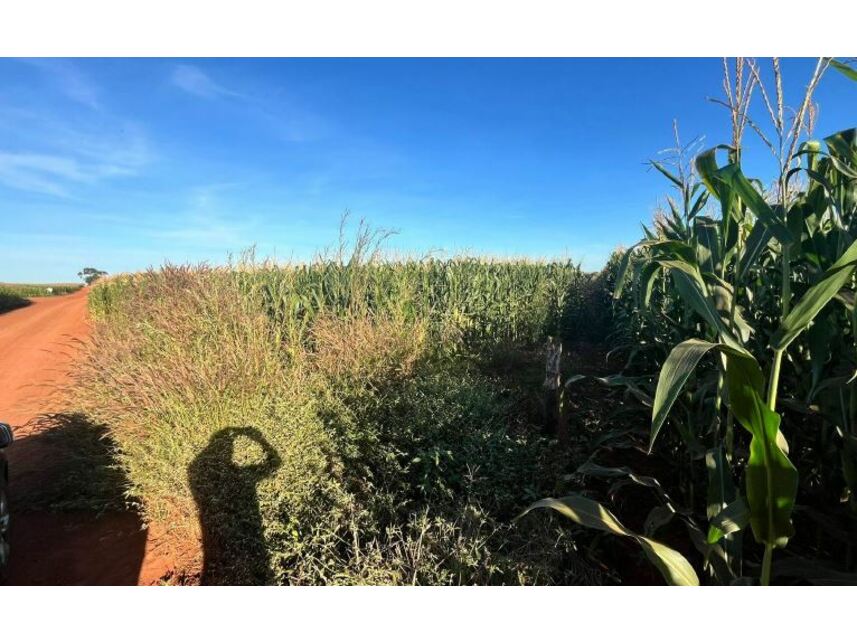 Imagem 6 do Leilão de Área Rural - Zona Rural - Rio Verde/GO