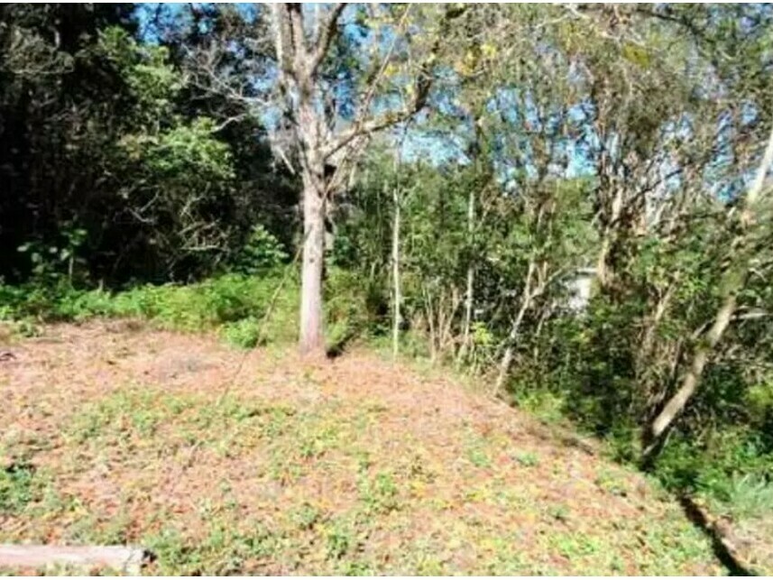 Imagem 4 do Leilão de Terreno - Aldeinha - Itapecerica da Serra/SP