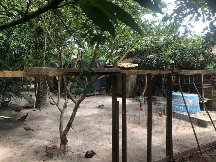 Imagem 6 do Leilão de Casa - Boa Vista - Maracaçumé/MA