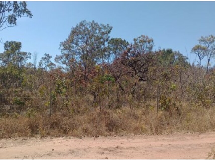 Imagem 5 do Leilão de Chácara - Setor Norte - Planaltina/GO