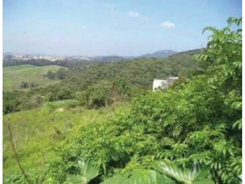 Imagem 3 do Leilão de Terreno - Pirituba - São Paulo/SP