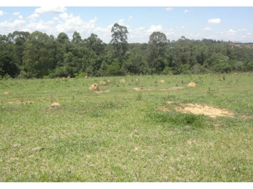 Imagem 5 do Leilão de Área Rural - Cruz da Alma - Itu/SP