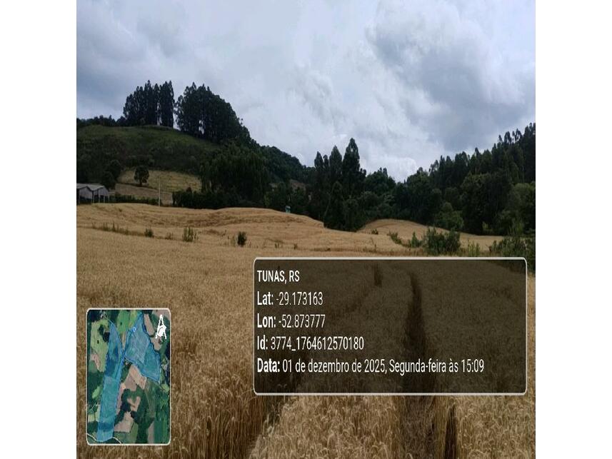 Imagem 22 do Leilão de Área Rural - Zona Rural - Tunas/RS