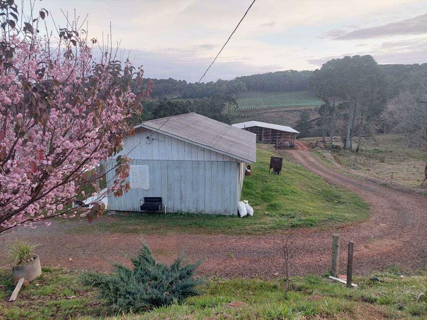 Imagem 2 do Leilão de Terreno - Centro - Frei Rogério/SC