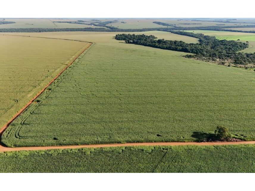 Imagem 3 do Leilão de Área Rural - Zona Rural - Rio Verde/GO