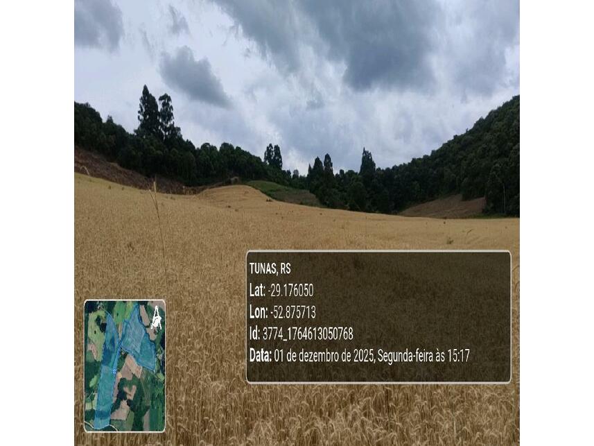 Imagem 19 do Leilão de Área Rural - Zona Rural - Tunas/RS