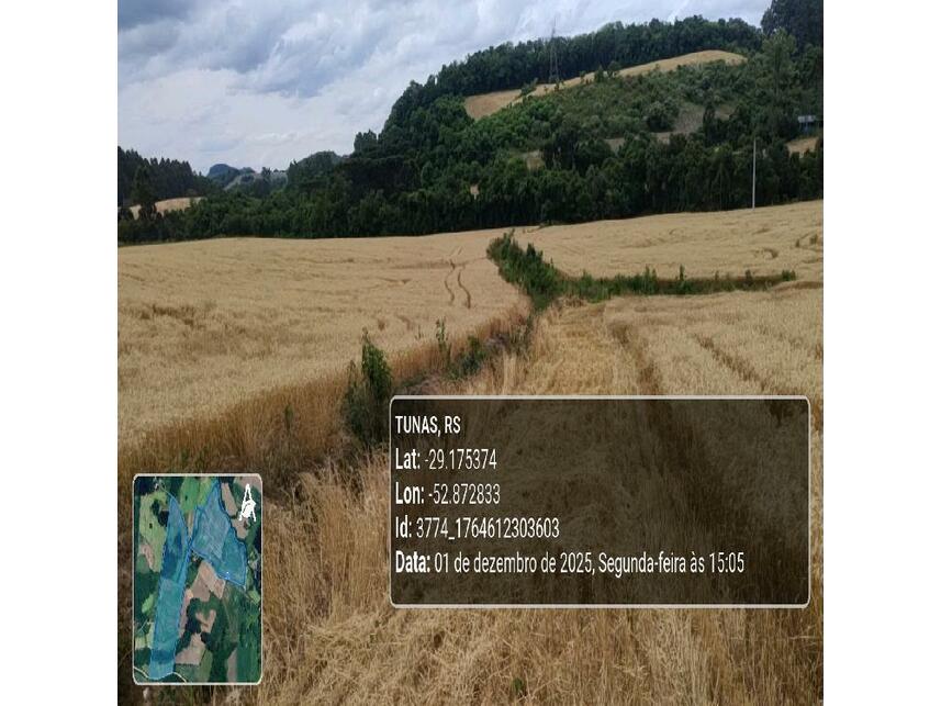Imagem 13 do Leilão de Área Rural - Zona Rural - Tunas/RS