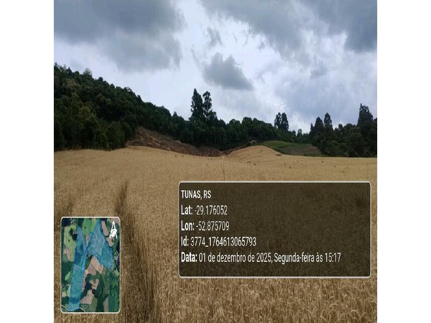 Imagem 20 do Leilão de Área Rural - Zona Rural - Tunas/RS