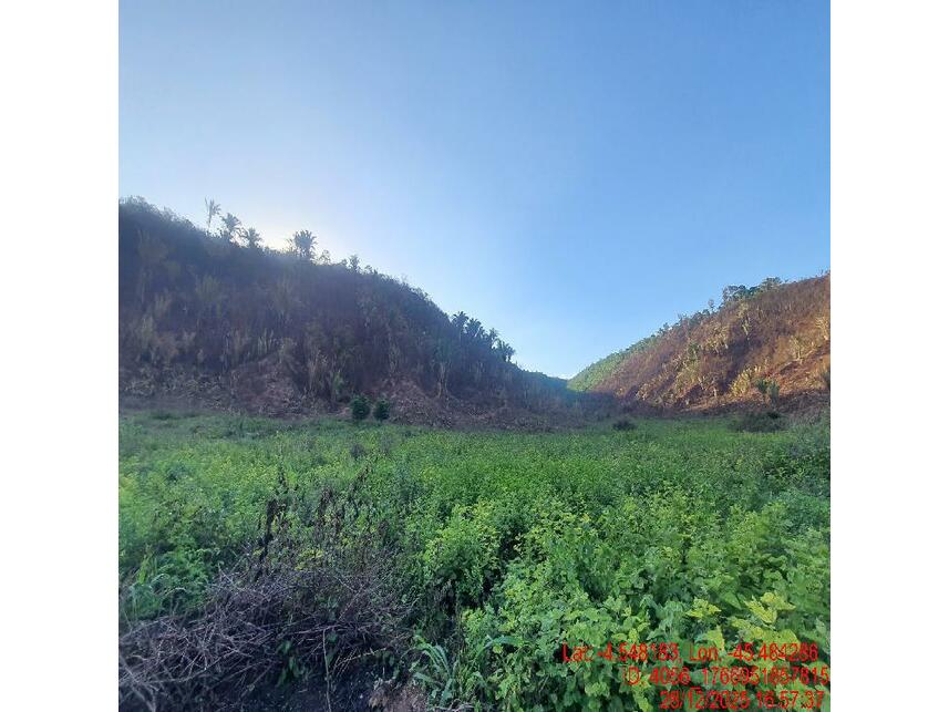 Imagem 7 do Leilão de Área Rural - Zona Rural - Paulo Ramos/MA