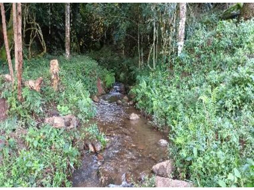 Imagem 6 do Leilão de Área Rural - Zona Rural - Baependi/MG