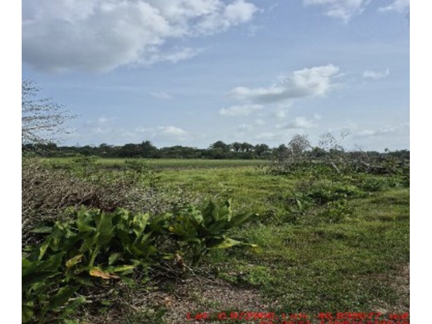 Imagem 2 do Leilão de Área Rural - Zona Rural - Bragança/PA