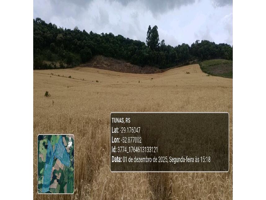 Imagem 27 do Leilão de Área Rural - Zona Rural - Tunas/RS