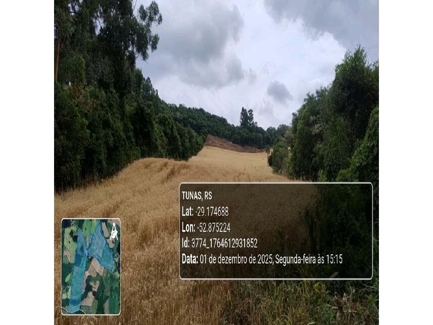 Imagem 29 do Leilão de Área Rural - Zona Rural - Tunas/RS