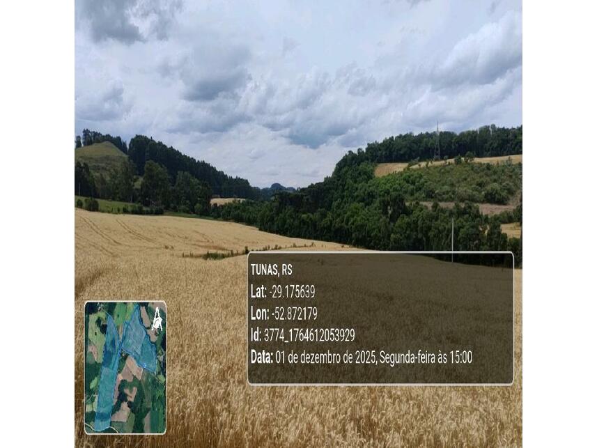 Imagem 3 do Leilão de Área Rural - Zona Rural - Tunas/RS